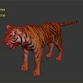 Realistic Tiger with Orange Black Stripes Open Mouth Standing on Dark Background with Reflection