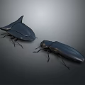 Two Black Beetles With Unique Design And Smooth Glossy Surface On Gray Background 3d model