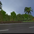 Scenic Roadside Landscape with Palm Trees Lush Trees Shrubs and Colorful Flowers
