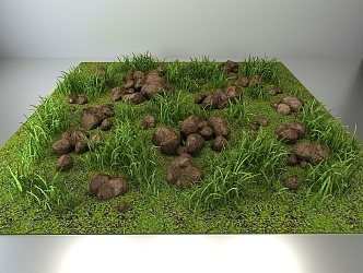 modern grassland 3d model