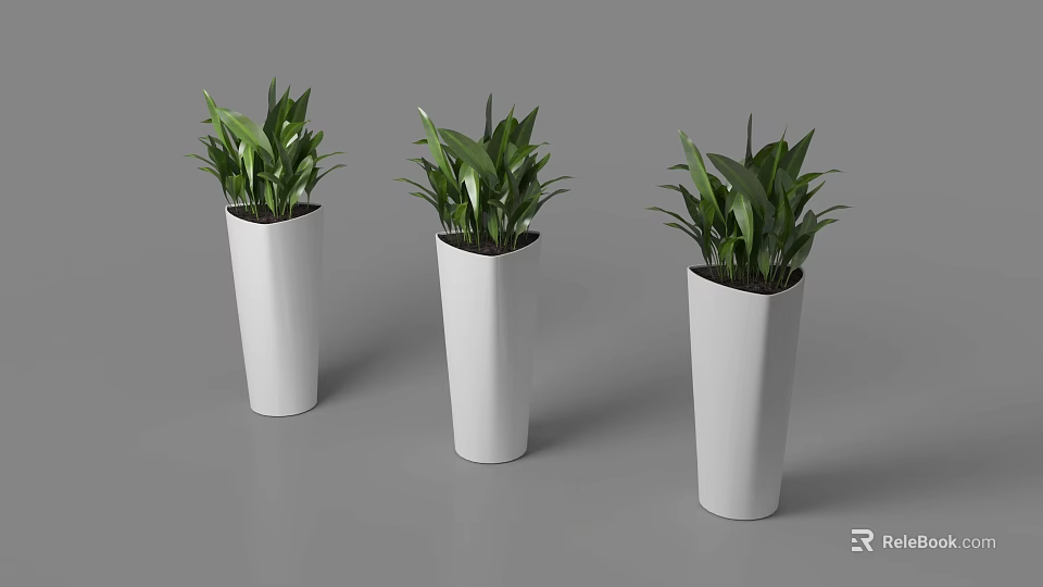 Three Modern Bonsai Potted Plants In White Geometric Planters With Green Foliage 3d model 