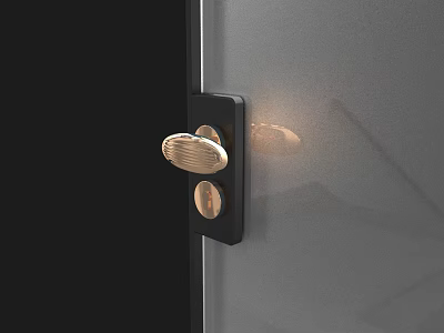 Modern Door Handle with Black Base and Golden Knob on Gray Door 3d model
