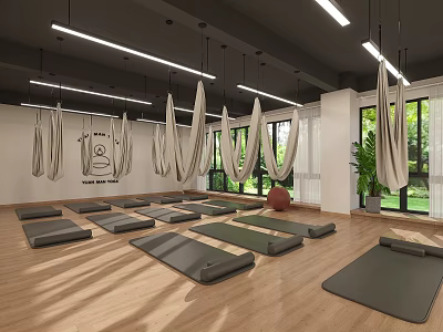 Yoga Fitness Studio With Aerial Hammocks Yoga Mats Wooden Flooring And Large Windows 3d model