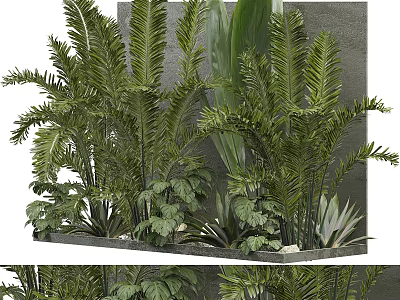 Lush Plants In Decorative Greenery Wall Design 3d model