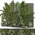 Lush Plants In Decorative Greenery Wall Design 3d model