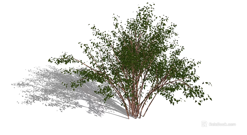 Green Leafy Shrub With Multiple Stems And Dense Foliage In Natural Form 3d model 