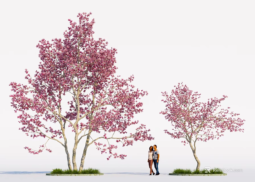 Tall Flowering Trees with Pink Blossoms and Two People Standing Beneath 3d model 