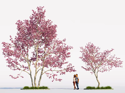 Tall Flowering Trees with Pink Blossoms and Two People Standing Beneath 3d model