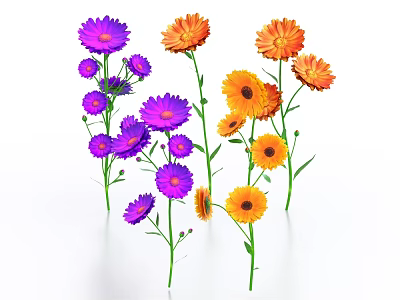Beautiful Multiple Purple and Orange Flowers with Green Stems Leaves on White Background 3d model