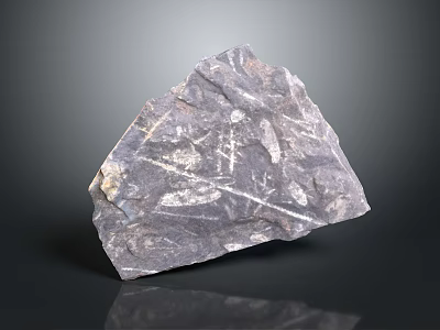 Natural Stone Material With Intricate Surface Texture And Rough Patterns For Decorative Use 3d model