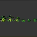 Green Plants With Various Leaf Shapes Arranged On Gray Background