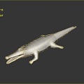 Crocodile Alligator Nile Crocodile carnivore reptile cold-blooded animal reptile reptile 3d model