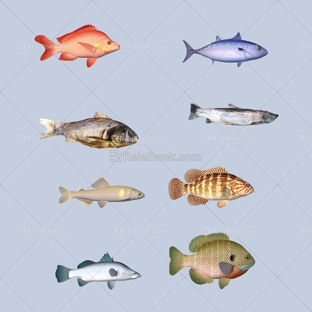 fish freshwater fish aquatic animal 3d model