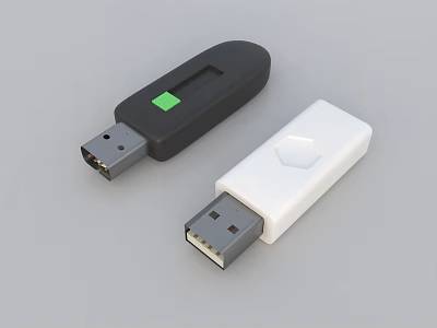 Black And White USB Flash Drives For Portable Digital Data Storage Accessories 3d model