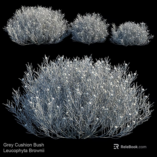 Cluster of Gray Bushes With White Small Flowers And Dense Branch Structure 3d model 