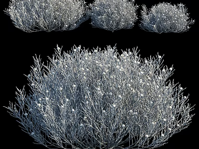 Cluster of Gray Bushes With White Small Flowers And Dense Branch Structure 3d model