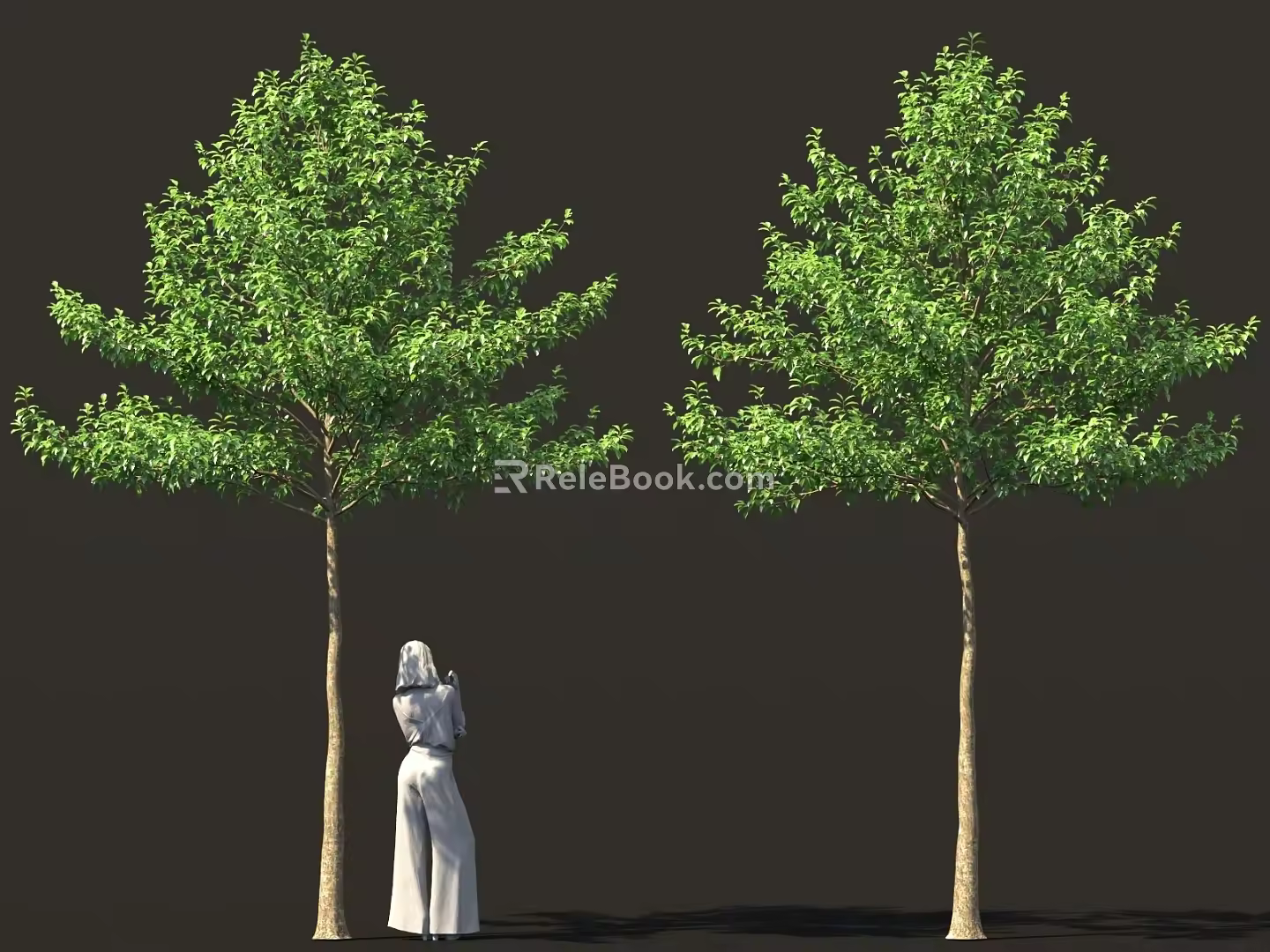 High-pole landscape tree street tree bird's eye view tree garden tree 3d model