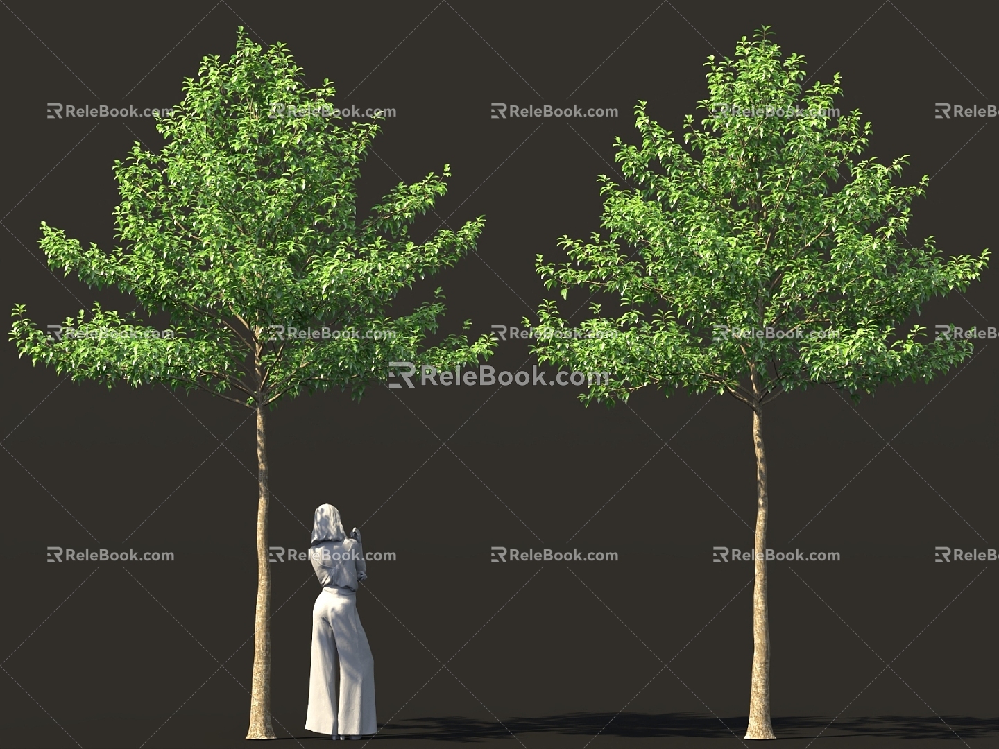 High-pole landscape tree street tree bird's eye view tree garden tree model