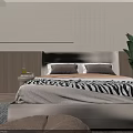 Modern Bedroom With Double Bed Zebra Print Blanket Pillows Gray Rug And Green Plant