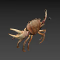 Realistic Brown Crab With Large Claws On Gray Background