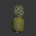 Fresh Ripe Pineapple With Vibrant Green Leaves And Yellow Textured Skin On Dark Background