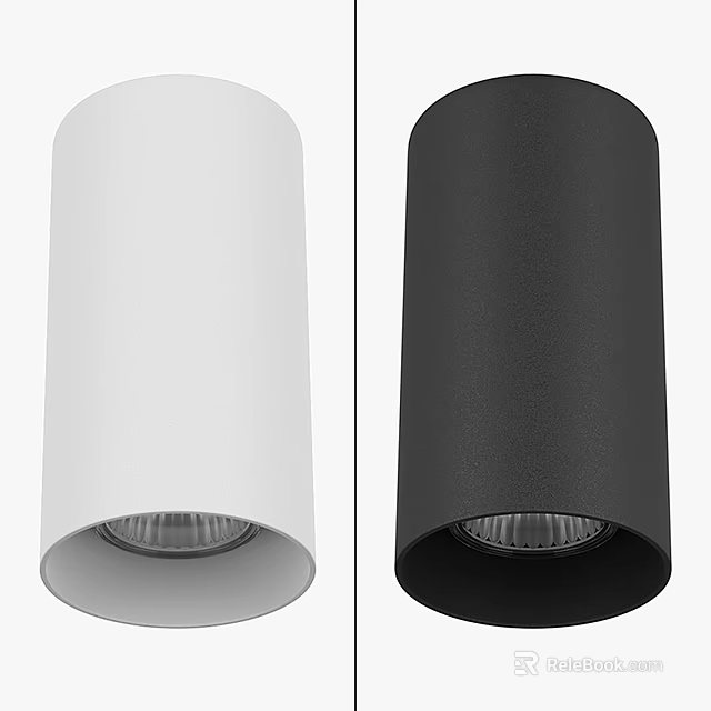 Modern Sleek Cylindrical Ceiling Light in White and Black for Home Interior 3d model