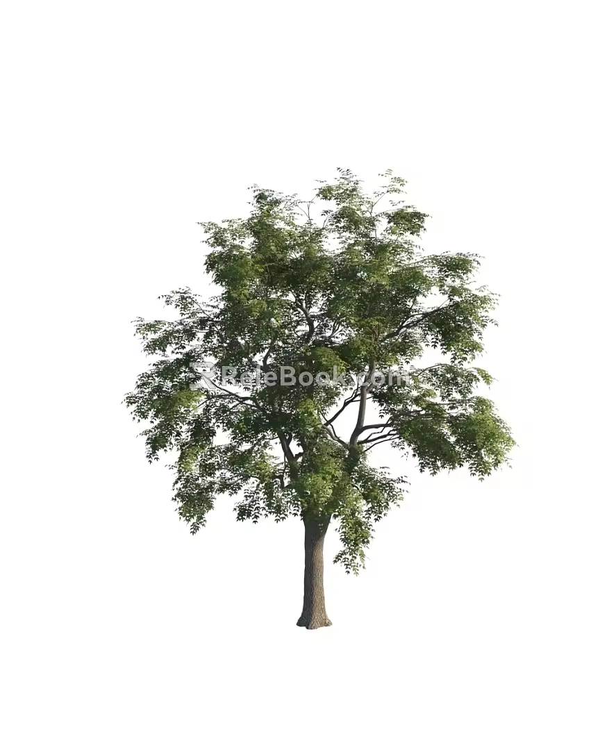 High precision coarse trees 3d model