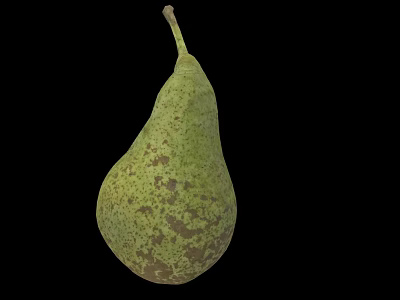 Fresh Ripe Green Pear With Brown Spots Isolated On Black Background 3d model