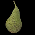 Fresh Ripe Green Pear With Brown Spots Isolated On Black Background