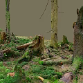 Lush Forest Floor With Mossy Tree Stumps Fallen Trunks Green Grass And Standing Trees 3d model