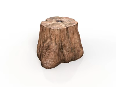 Natural Style Building Interior With Wooden Tree Stump Stool And Grain Details 3d model