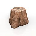 Natural Style Building Interior With Wooden Tree Stump Stool And Grain Details