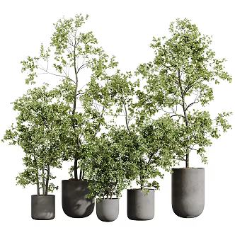 modern potted plant 3d model