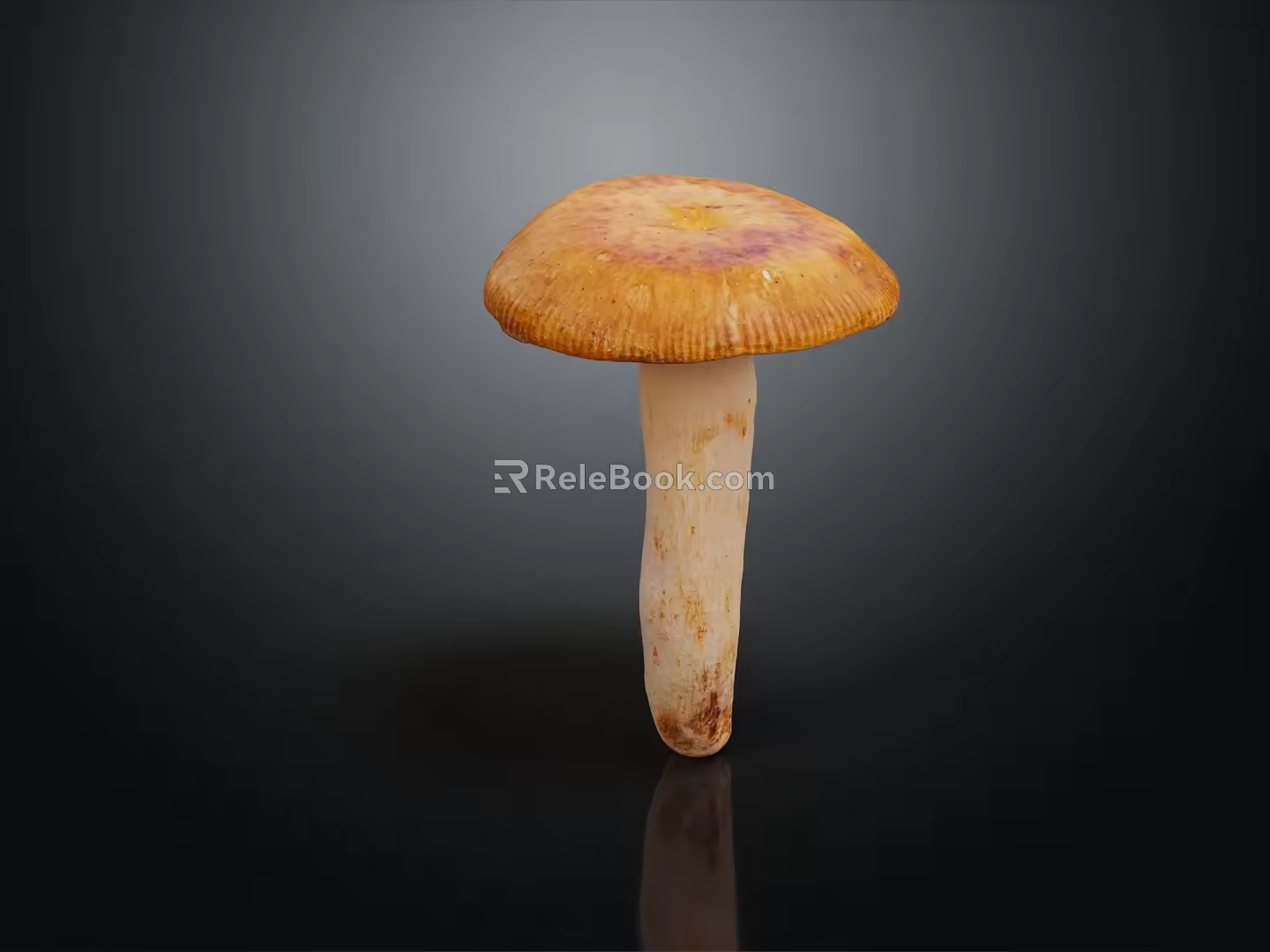Modern mushroom straw mushroom poisonous mushroom 3d model