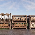 Garden Firewood Storage Racks Wooden Frames Stacked with Logs and Split Wood