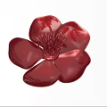 Red Flower with Glossy Petals and Intricate Stamens Isolated on White Background