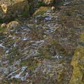 River Stream Water Rocks 3d model