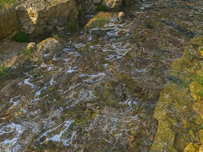 Natural Garden Landscape With Gentle Clear Stream Flowing Over Mossy Rocks 3d model