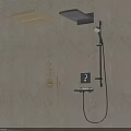 Modern Shower System With Brass And Black Finish Wall Mounted Handheld And Overhead Heads