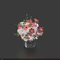 Beautiful Flower Bouquet With Pink Red White Flowers In Glass Vase On Dark Blue Background