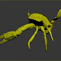 Vibrant Blue Green Crab With Red Tip Claws Detailed View