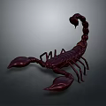 Dark Red Scorpion 3D Model With Detailed Features On Gray Gradient Background 3d model