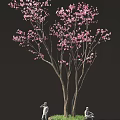 Beautiful Pink Cherry Blossom Tree With Delicate Branches And Flowers 3d model