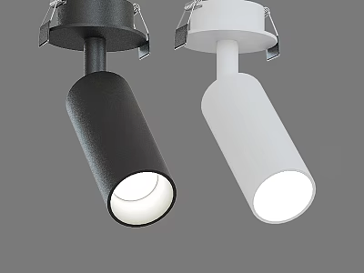 Modern Black and White Downlights and Spotlights for Indoor Ceiling Lighting 3d model