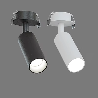 Modern Black and White Downlights and Spotlights for Indoor Ceiling Lighting 3d model