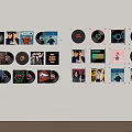 Stylish Vinyl Record Wall Hanging Rack Displaying Various Cover Records Neatly Arranged