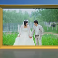 Golden Photo Frame Displaying Newlyweds In Outdoor Grassy Field With Green Trees And Blue Sky