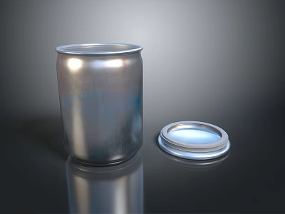 Shiny Silver Metal Canister With Sealed Lid For Household Daily Storage Use 3d model