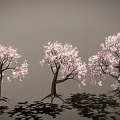 Beautiful Pink Blossom Tree With Dark Trunk On Green Grassy Hill And Falling White Petals
