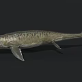 Prehistoric Aquatic Reptile With Sharp Teeth Open Mouth Flippers And Streamlined Body